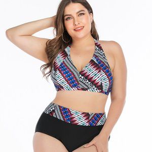 P6666 Multi Color High Waist Brief Style Swimwear